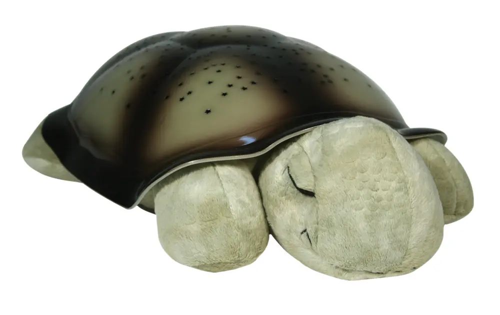 Twilight Turtle  Mocha