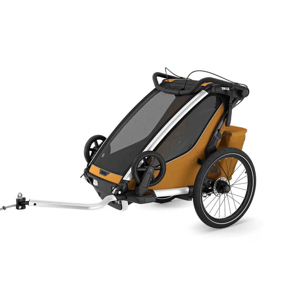Chariot Sport   Single Natural Gold